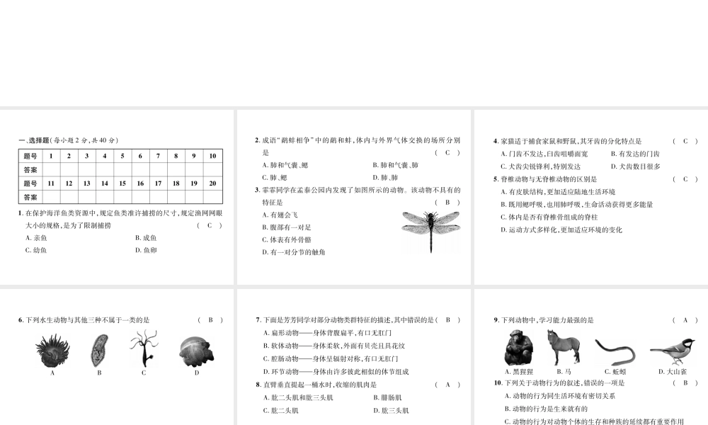 八年级生物上册 期中达标测试课件 （新版）新人教版-（新版）新人教版初中八年级上册生物课件