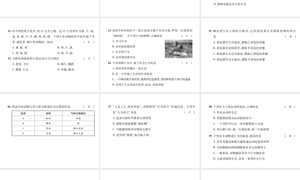 八年级生物上册 期中达标测试课件 （新版）新人教版-（新版）新人教版初中八年级上册生物课件
