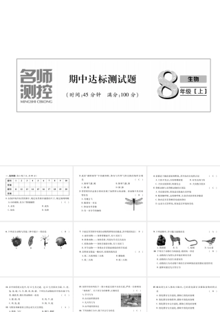 八年级生物上册 期中达标测试课件 （新版）新人教版-（新版）新人教版初中八年级上册生物课件