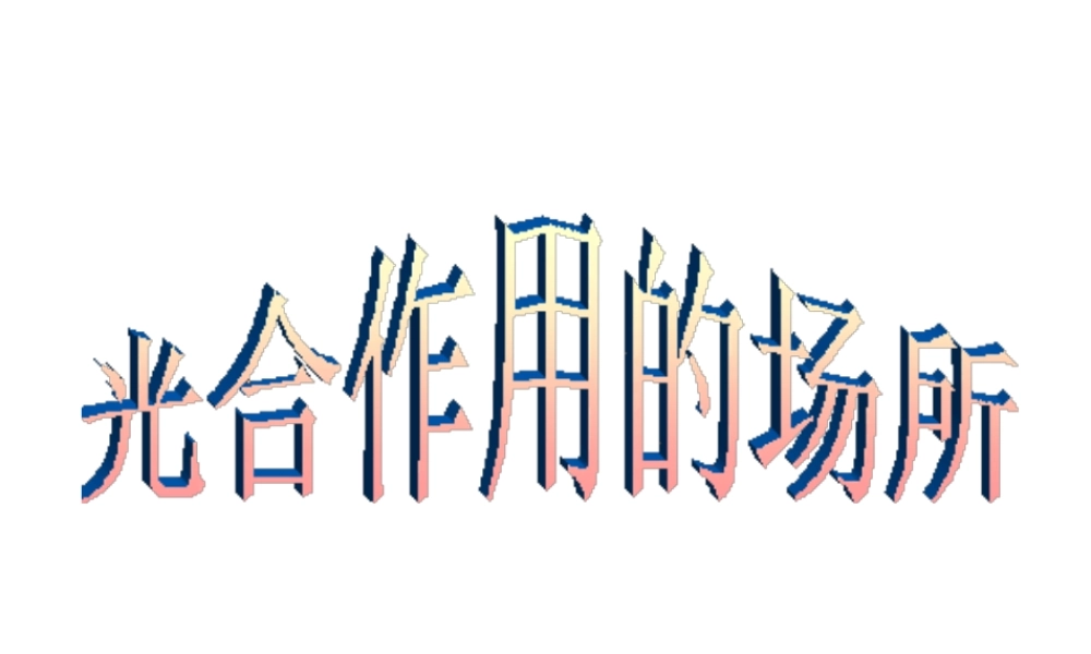 八年级生物上册 第3章 第三节 光合作用的场所课件 （新版）冀教版-（新版）冀教版初中八年级上册生物课件