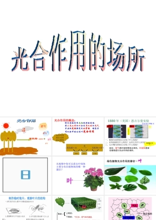 八年级生物上册 第3章 第三节 光合作用的场所课件 （新版）冀教版-（新版）冀教版初中八年级上册生物课件