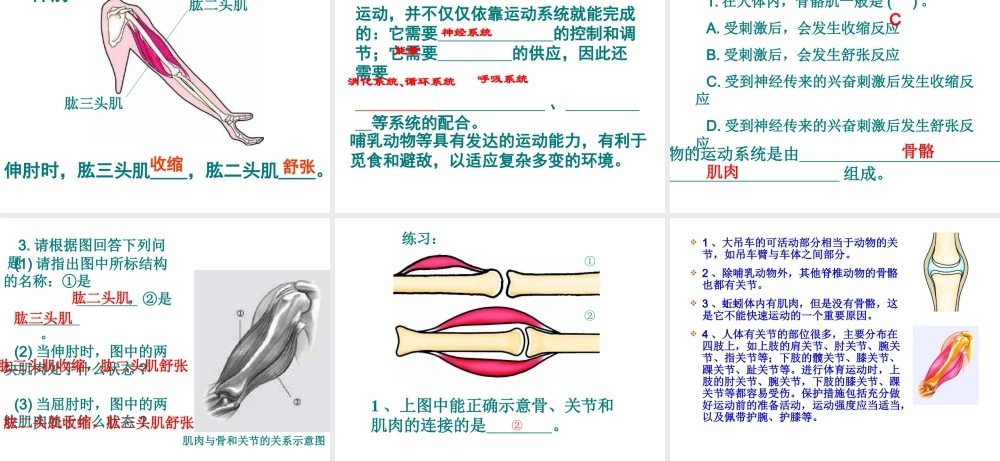 八年级生物上册 9.1 动物的运动教学课件 （新版）北京版-北京级上册生物课件