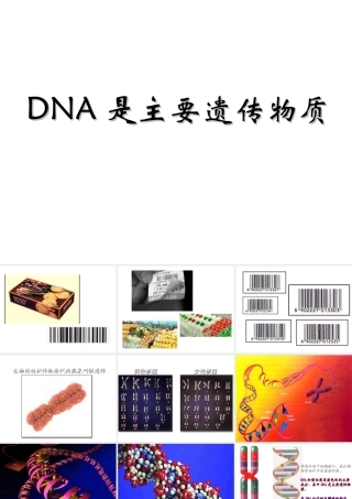 八年级生物上册 DNA是主要的遗传物质课件 苏教版