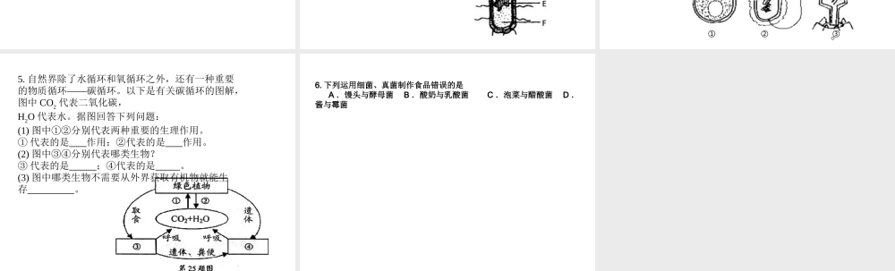 八年级生物上册 第4-5章知识梳理课件 （新版）新人教版