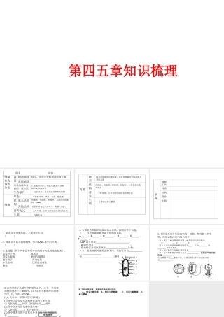 八年级生物上册 第4-5章知识梳理课件 （新版）新人教版