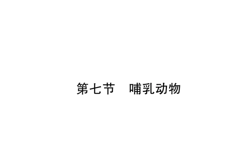 八年级生物上册 5.1.7 哺乳动物作业课件 （新版）新人教版-（新版）新人教版初中八年级上册生物课件