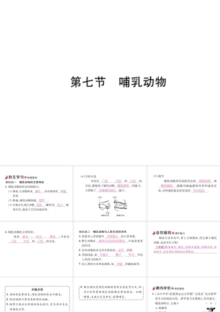 八年级生物上册 5.1.7 哺乳动物作业课件 （新版）新人教版-（新版）新人教版初中八年级上册生物课件