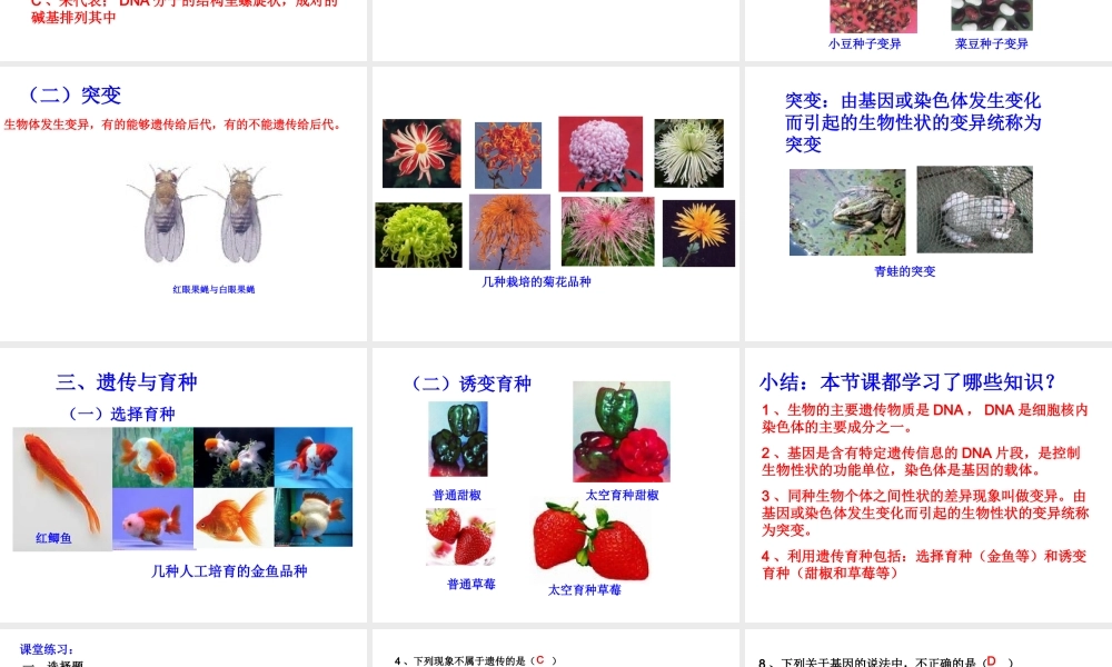 八年级生物上册 八年级生物上册 第二节生物的遗传物质课件 北京版