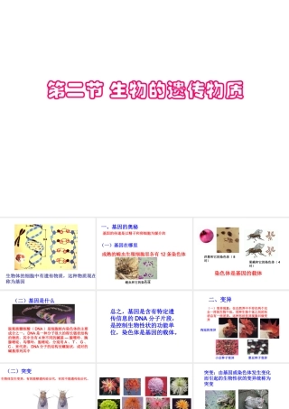 八年级生物上册 八年级生物上册 第二节生物的遗传物质课件 北京版