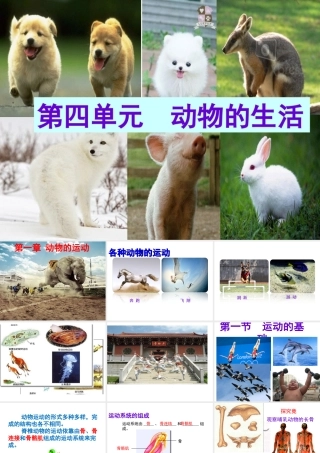 八年级生物上册 第4单元 第1章 第1节 运动的基础课件 （新版）冀教版-（新版）冀教版初中八年级上册生物课件