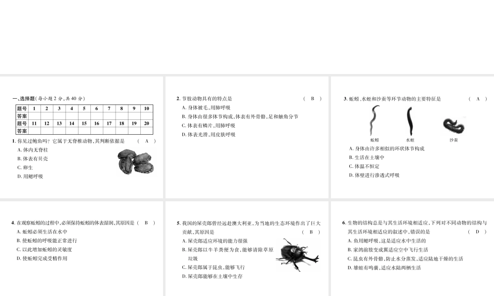 八年级生物上册 期中达标测试题课件 （新版）新人教版-（新版）新人教版初中八年级上册生物课件