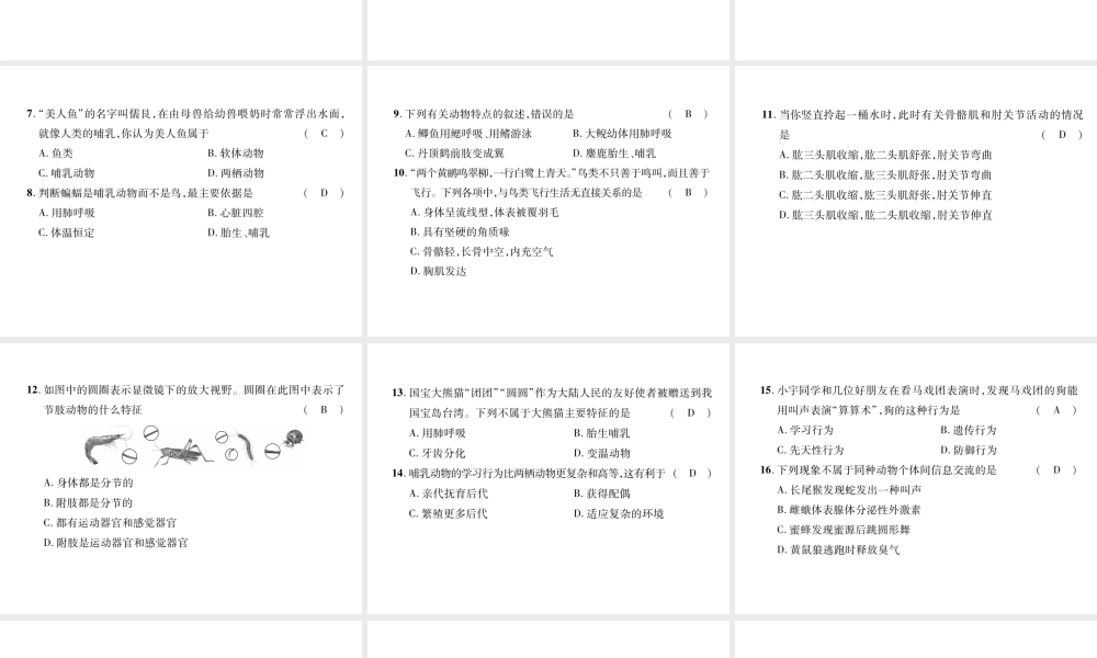 八年级生物上册 期中达标测试题课件 （新版）新人教版-（新版）新人教版初中八年级上册生物课件