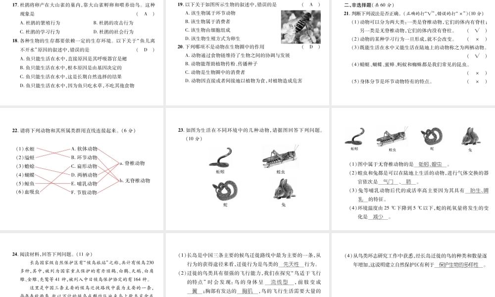八年级生物上册 期中达标测试题课件 （新版）新人教版-（新版）新人教版初中八年级上册生物课件