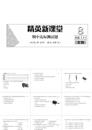 八年级生物上册 期中达标测试题课件 （新版）新人教版-（新版）新人教版初中八年级上册生物课件
