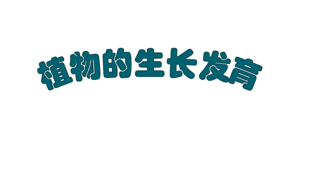 八年级生物上册 八年级生物上册 植物的生长和发育课件 北京版