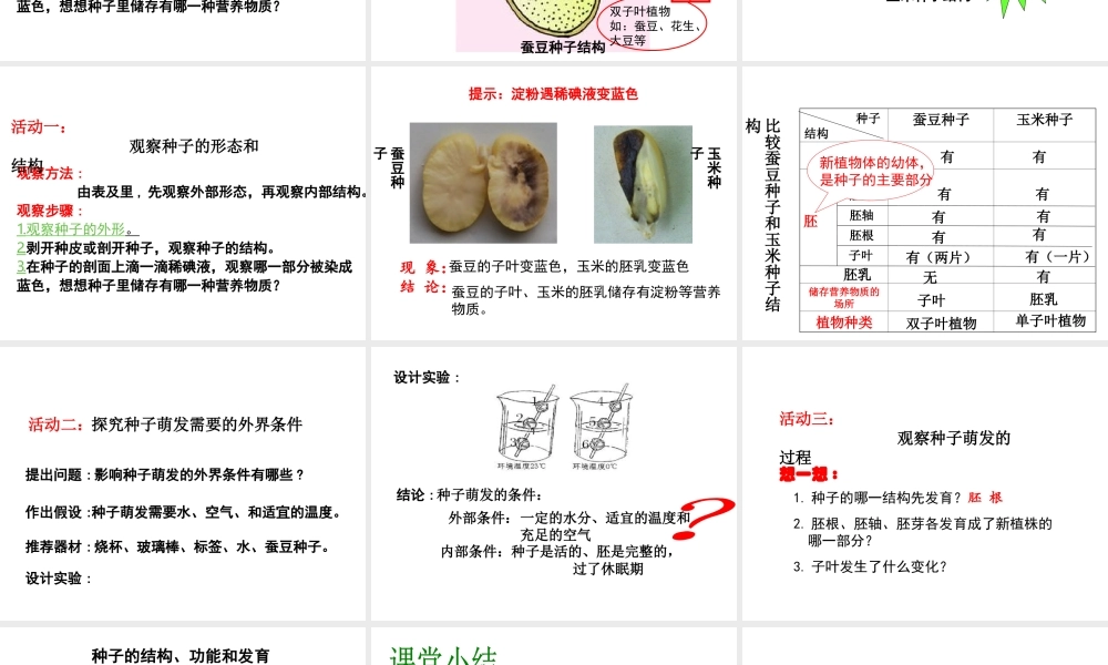 八年级生物上册 八年级生物上册 植物的生长和发育课件 北京版