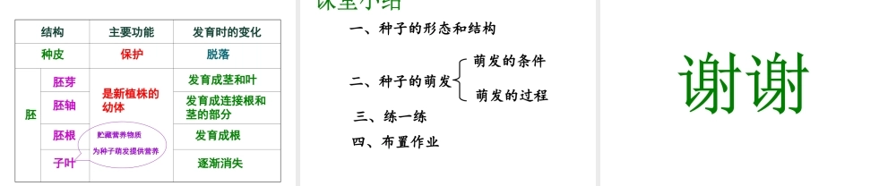 八年级生物上册 八年级生物上册 植物的生长和发育课件 北京版