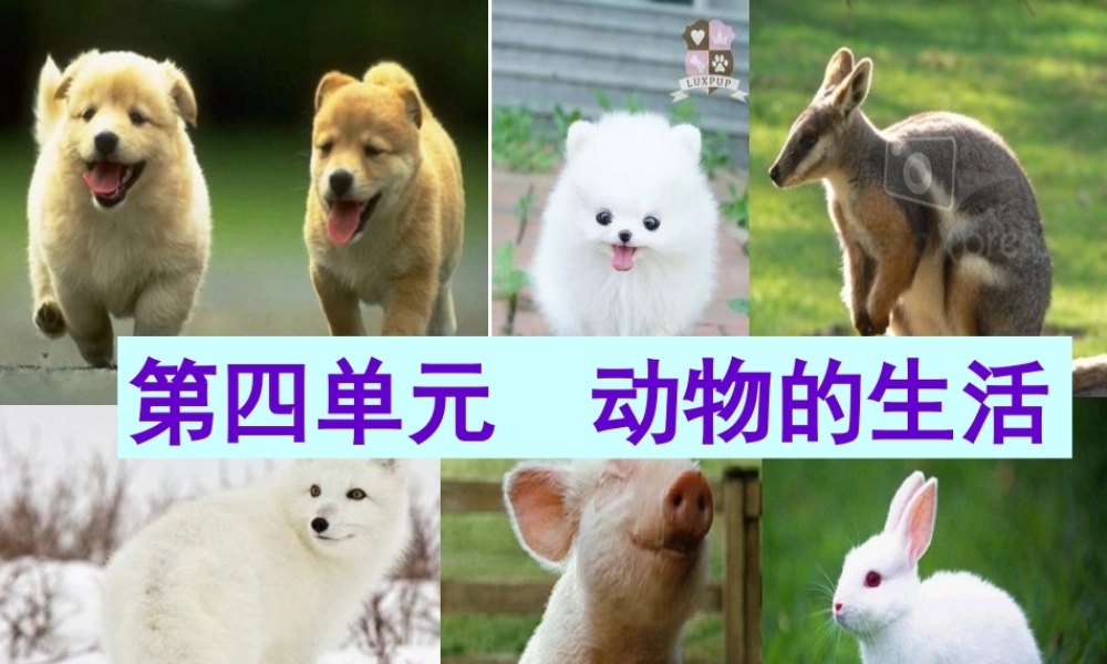 八年级生物上册 第4单元 第1章 第1节 运动的基础课件 （新版）冀教版-（新版）冀教级上册生物课件