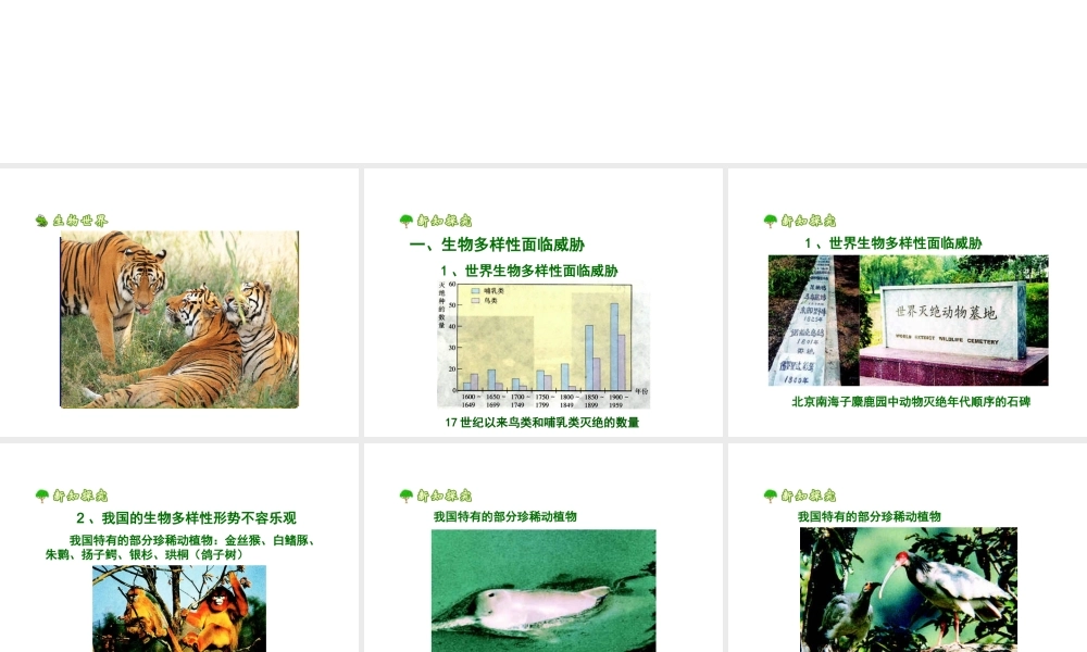 八年级生物上册 保护生物的多样性上课件 人教新课标版