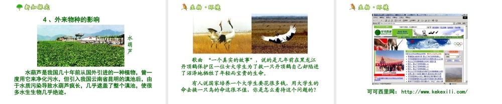 八年级生物上册 保护生物的多样性上课件 人教新课标版