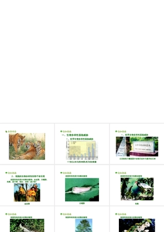 八年级生物上册 保护生物的多样性上课件 人教新课标版