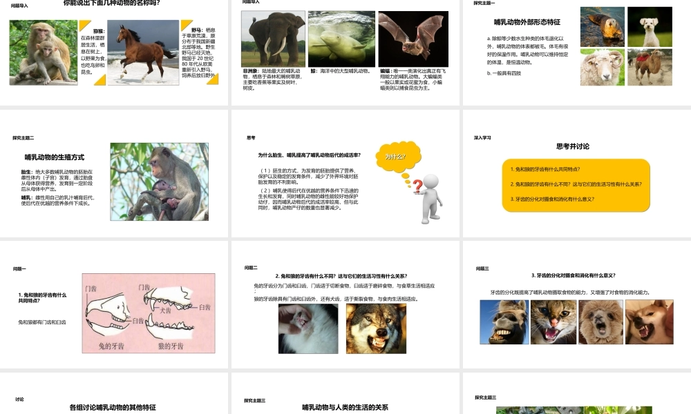 八年级生物上册 5.1.7《哺乳动物》教学课件 （新版）新人教版-（新版）新人教版初中八年级上册生物课件
