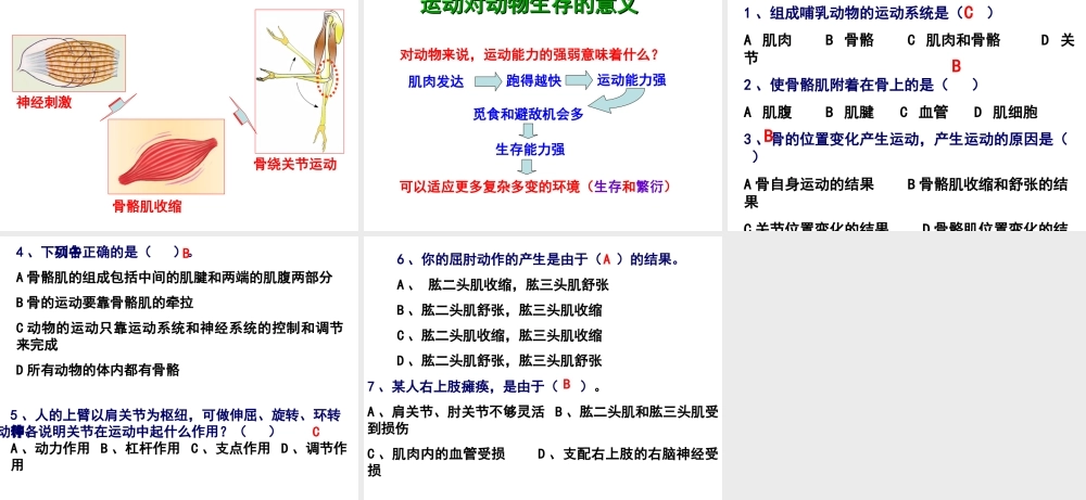 八年级生物上册 第4单元 第1章 第2节 运动完成课件 （新版）冀教版-（新版）冀教版初中八年级上册生物课件