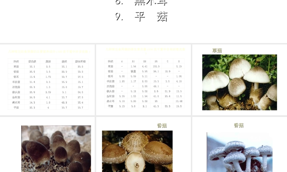 八年级生物上册 常见的食用蘑菇课件 人教新课标版