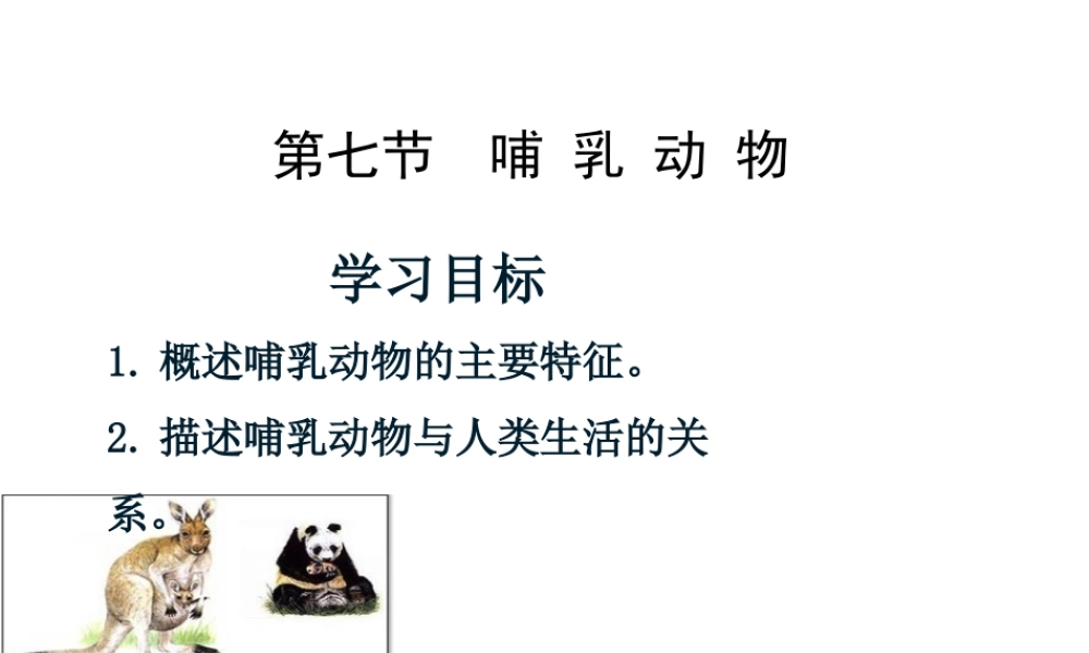 八年级生物上册 5.1.7《哺乳动物》课件 （新版）新人教版-（新版）新人教版初中八年级上册生物课件