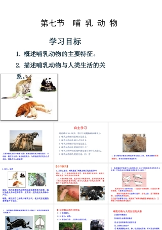 八年级生物上册 5.1.7《哺乳动物》课件 （新版）新人教版-（新版）新人教版初中八年级上册生物课件