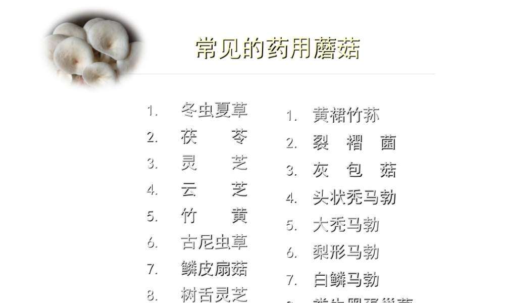 八年级生物上册 常见的药用蘑菇课件 人教新课标版