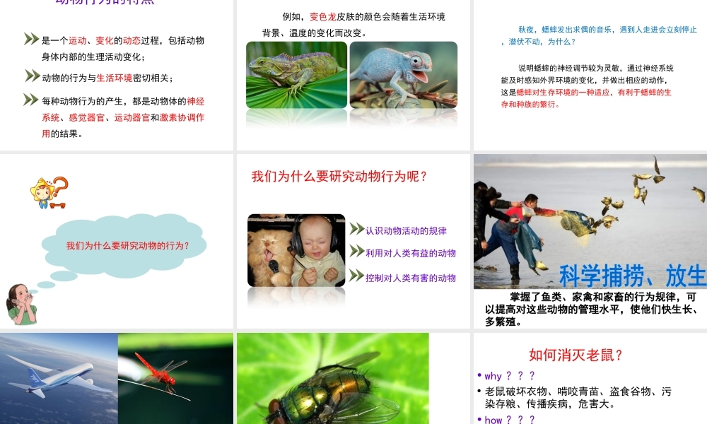 八年级生物上册 第4单元 第2章 第1节 运动行为的特点课件 （新版）冀教版-（新版）冀教版初中八年级上册生物课件