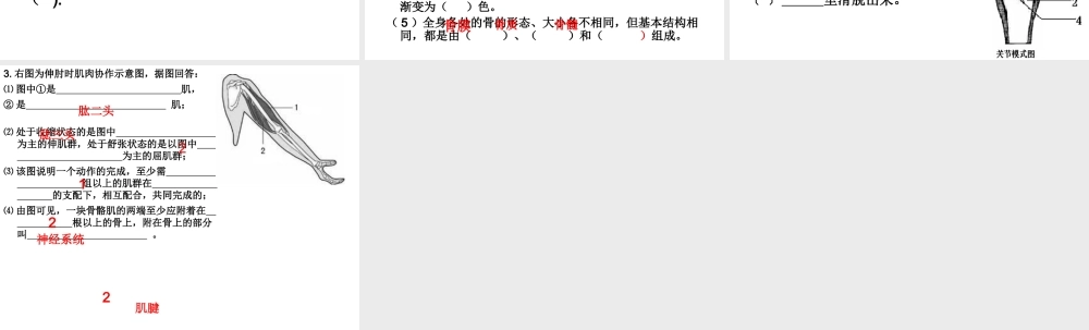 八年级生物上册 期中复习（三）第17章 动物的运动与行为课件 （新版）苏科版-（新版）苏科级上册生物课件