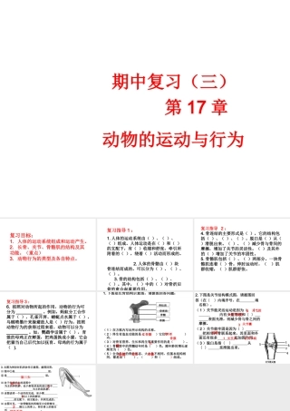 八年级生物上册 期中复习（三）第17章 动物的运动与行为课件 （新版）苏科版-（新版）苏科级上册生物课件