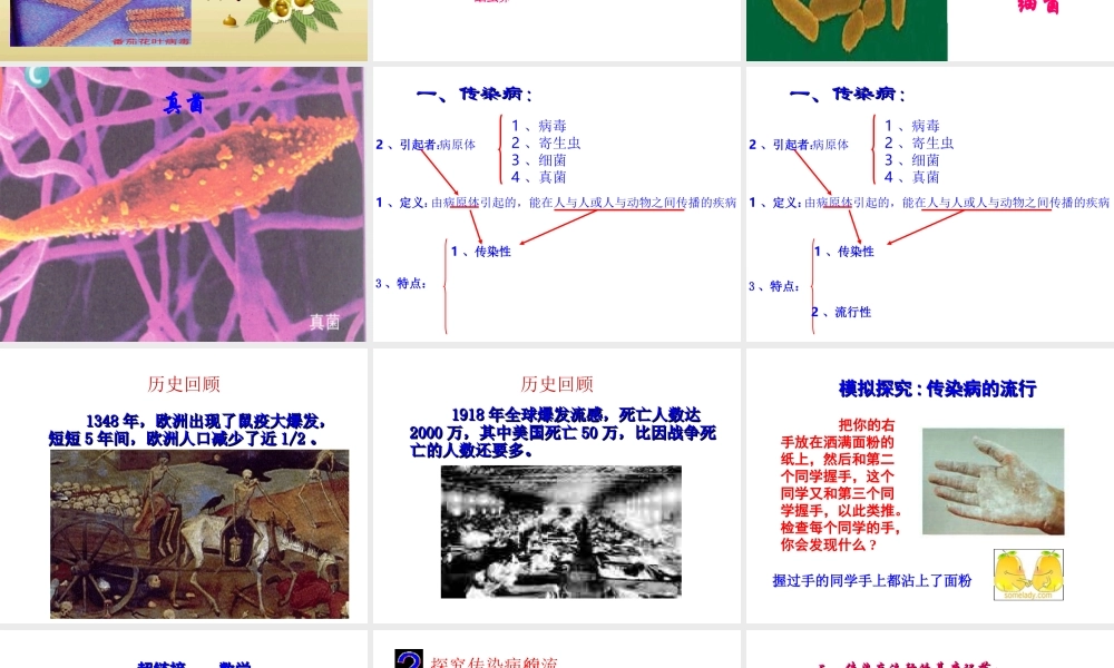 八年级生物上册 传染病及其预防课件 北京版