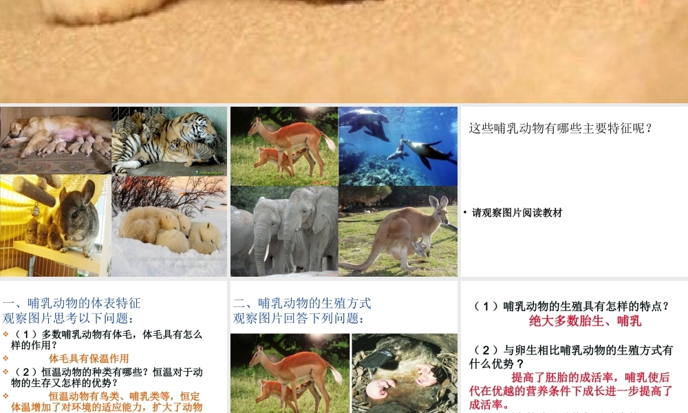 八年级生物上册 5.1.7《哺乳动物》课件1 （新版）新人教版-（新版）新人教版初中八年级上册生物课件