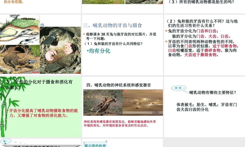 八年级生物上册 5.1.7《哺乳动物》课件1 （新版）新人教版-（新版）新人教版初中八年级上册生物课件