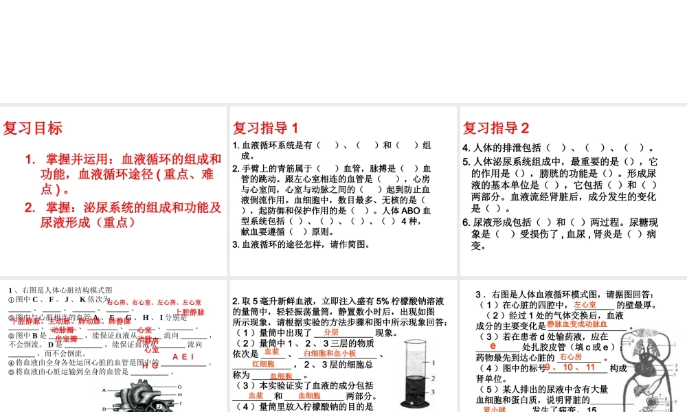 八年级生物上册 期中复习（一）第15章 人体内平衡的维持课件 （新版）苏科版-（新版）苏科版初中八年级上册生物课件