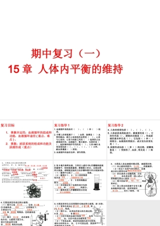 八年级生物上册 期中复习（一）第15章 人体内平衡的维持课件 （新版）苏科版-（新版）苏科级上册生物课件