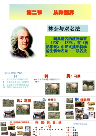 八年级生物上册 从种到界2课件 人教新课标版