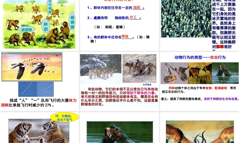 八年级生物上册 第4单元 第2章 第2节 运动行为的类型课件 （新版）冀教版-（新版）冀教版初中八年级上册生物课件