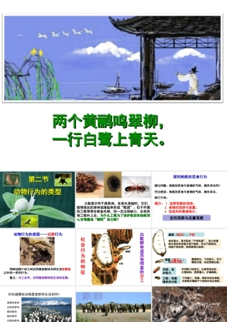 八年级生物上册 第4单元 第2章 第2节 运动行为的类型课件 （新版）冀教版-（新版）冀教版初中八年级上册生物课件
