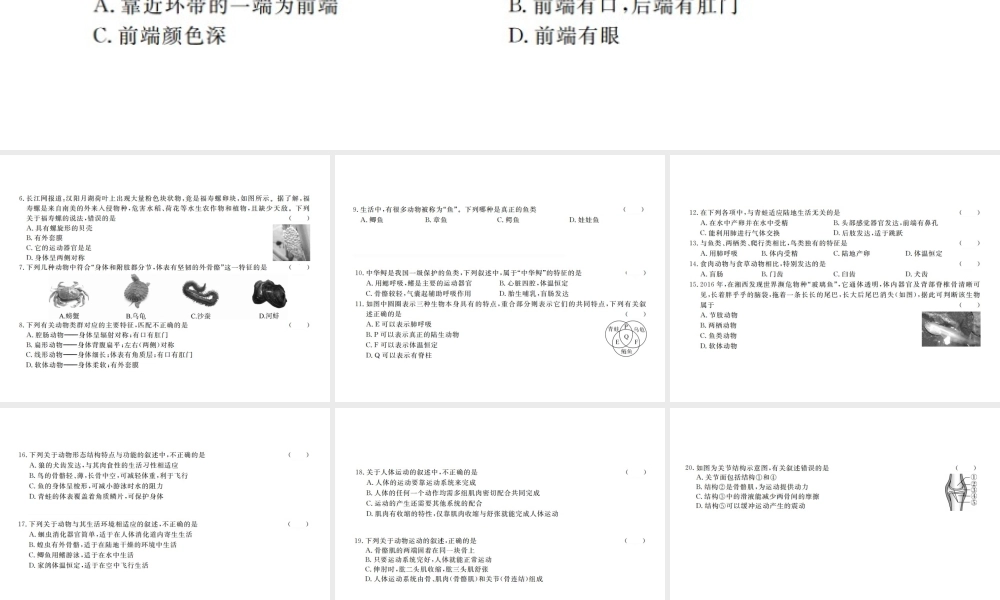 八年级生物上册 期中检测卷课件 （新版）新人教版-（新版）新人教版初中八年级上册生物课件