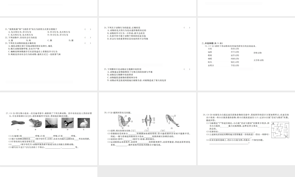 八年级生物上册 期中检测卷课件 （新版）新人教版-（新版）新人教版初中八年级上册生物课件