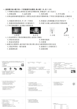 八年级生物上册 期中检测卷课件 （新版）新人教版-（新版）新人教版初中八年级上册生物课件