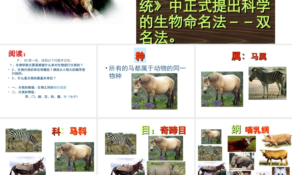 八年级生物上册 从种到界课件 人教新课标版