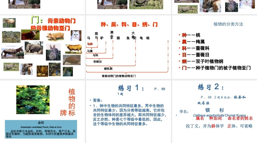 八年级生物上册 从种到界课件 人教新课标版