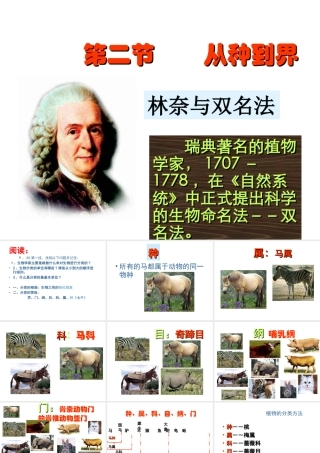 八年级生物上册 从种到界课件 人教新课标版