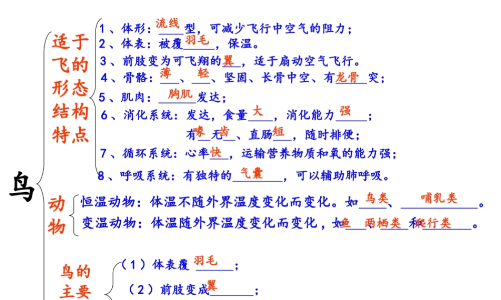 八年级生物上册 5.1.7《哺乳动物》课件3 （新版）新人教版-（新版）新人教版初中八年级上册生物课件