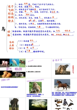 八年级生物上册 5.1.7《哺乳动物》课件3 （新版）新人教版-（新版）新人教版初中八年级上册生物课件